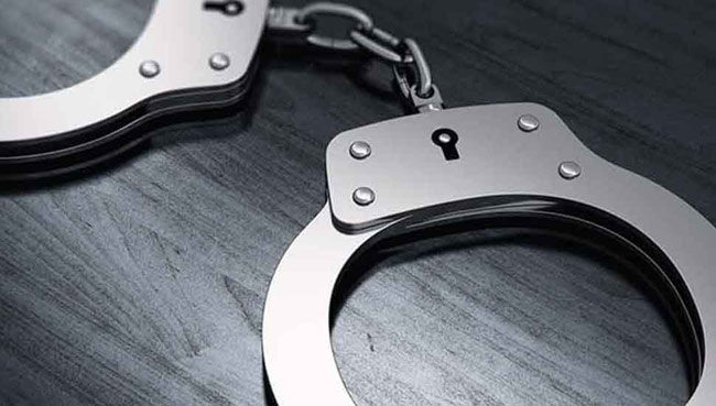 ‘Puppy’ arrested for transporting drugs