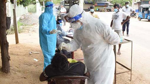 Daily coronavirus cases count climbs to 1,447