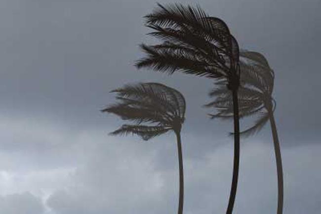 Weather advisory issued for strong winds, rough seas