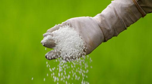Gazette issued for importing Nitrogen extracts and Potassium