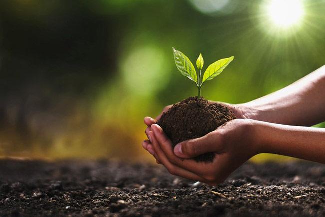 Govt. says no plan to change decision on use of organic fertilizer