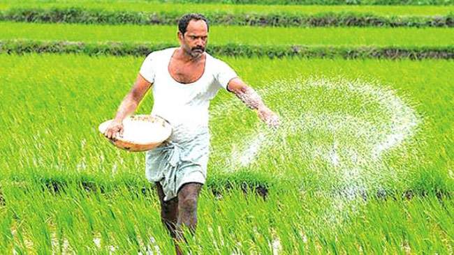 Govt allows import of organic fertilizer, minerals, plant nutrients for Maha Season