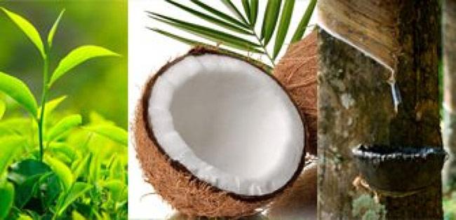 Importation of organic fertilizer for tea, coconut, rubber permitted