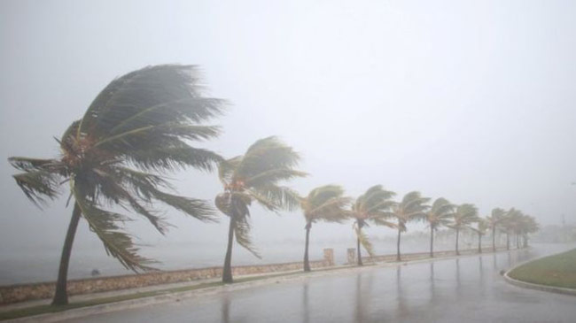 Amber alert issued over heavy rain and strong winds