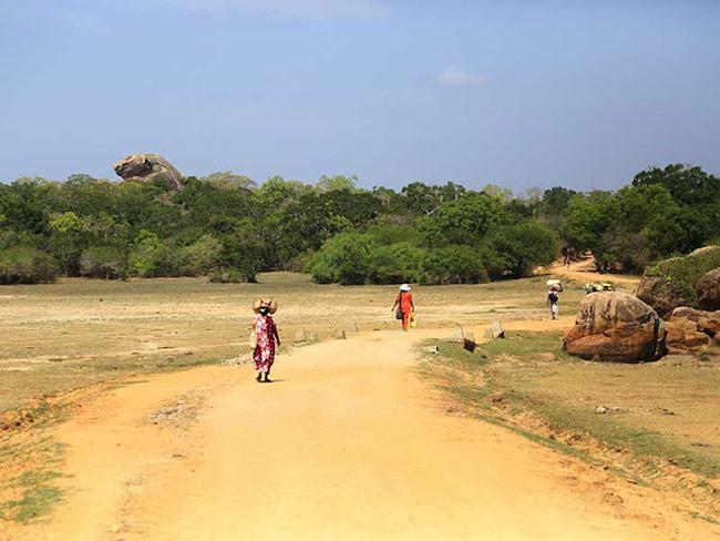 World Bank approves USD 500 mn financing facility for Sri Lanka
