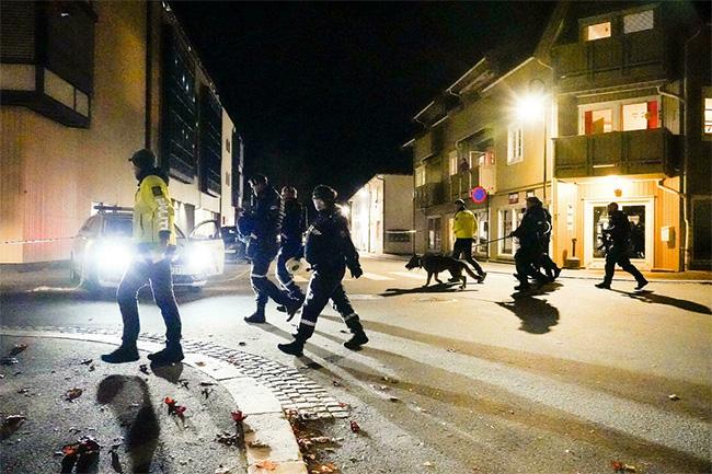 Man armed with bow and arrow kills five people in Norway