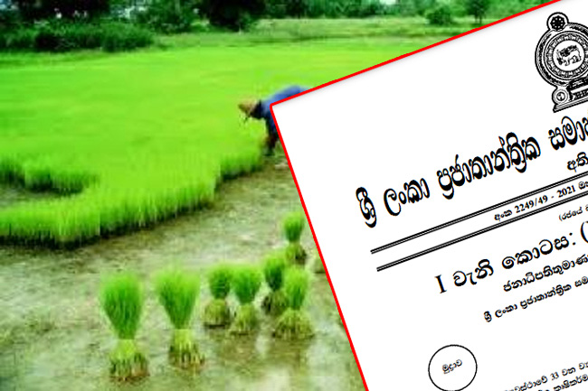 Presidential Task Force for Green Agriculture appointed