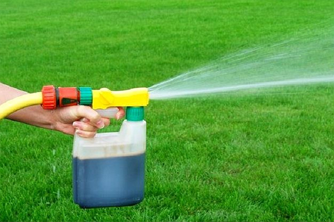 Liquid fertilizer imported from India to arrive tomorrow