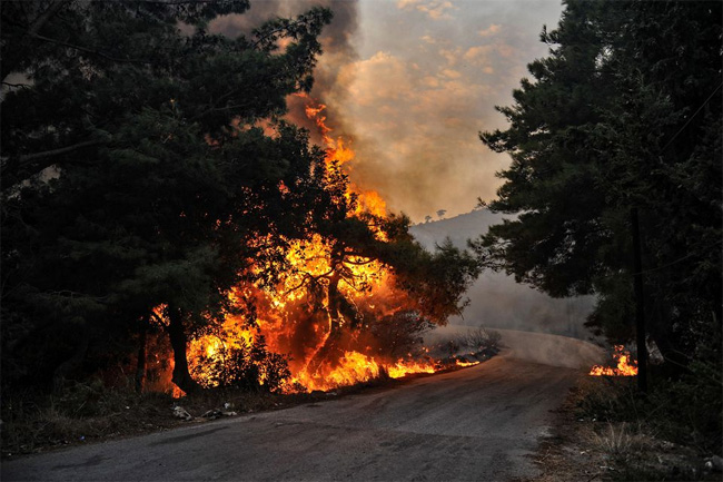 Syria executes 24 people charged with igniting wildfires
