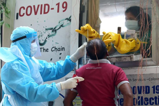 Daily COVID cases count hits 559 today