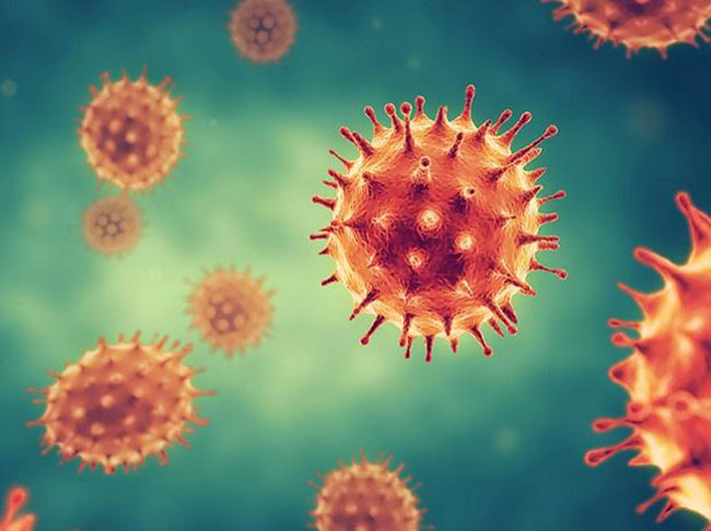 Daily count of coronavirus cases climbs to 679