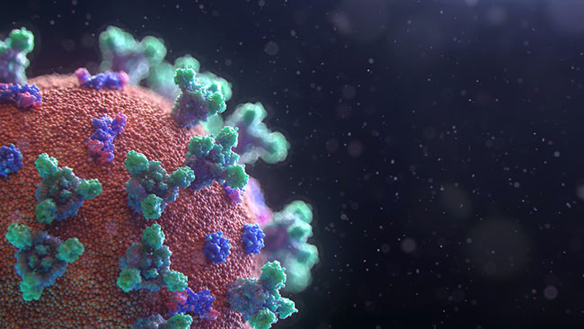 697 coronavirus cases reported today in Sri Lanka