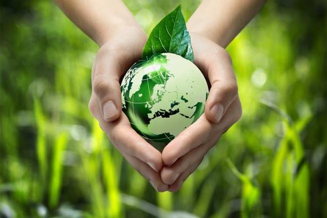 President to establish ‘Green Agriculture Operative Centre’