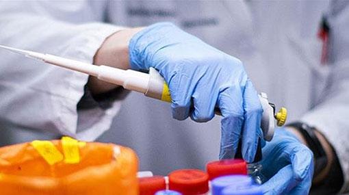 Sri Lanka’s daily count of Covid cases hits 741