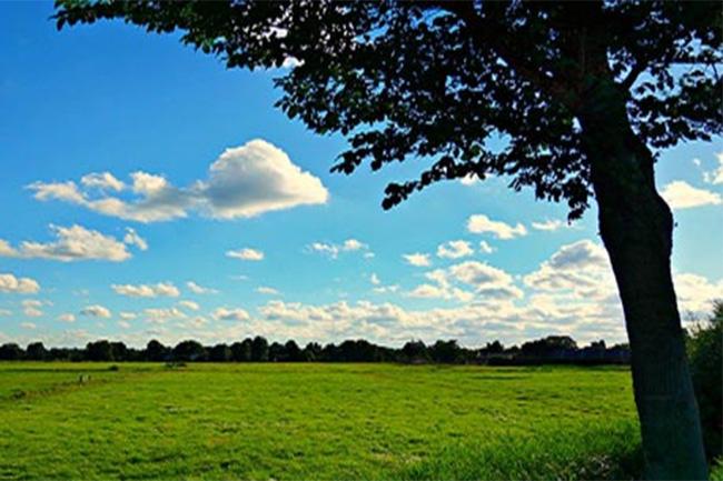Fair weather expected in most parts of the island today