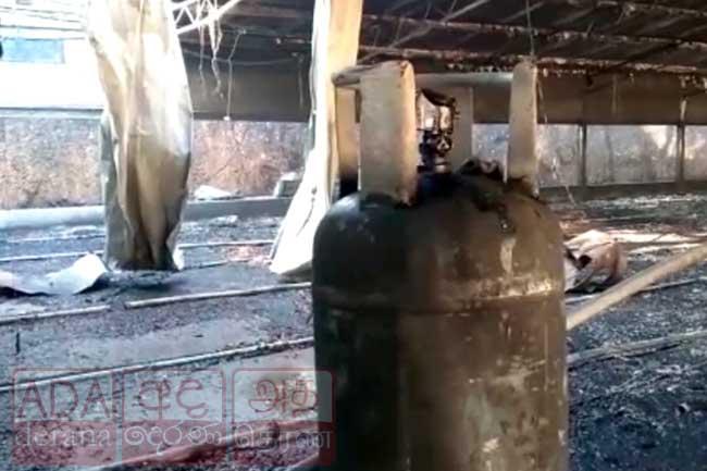 Nearly 3,000 chickens killed in poultry farm fire caused by gas leak