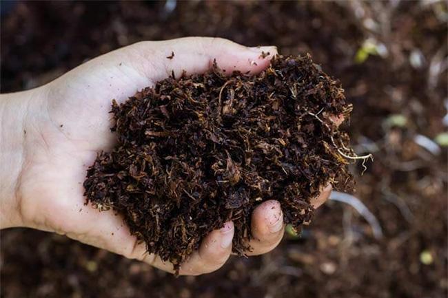 Govt to purchase locally-manufactured organic fertilizer for Yala Season