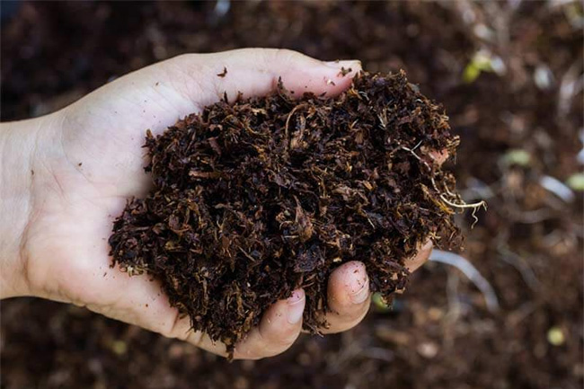 Govt to purchase locally-manufactured organic fertilizer for Yala Season