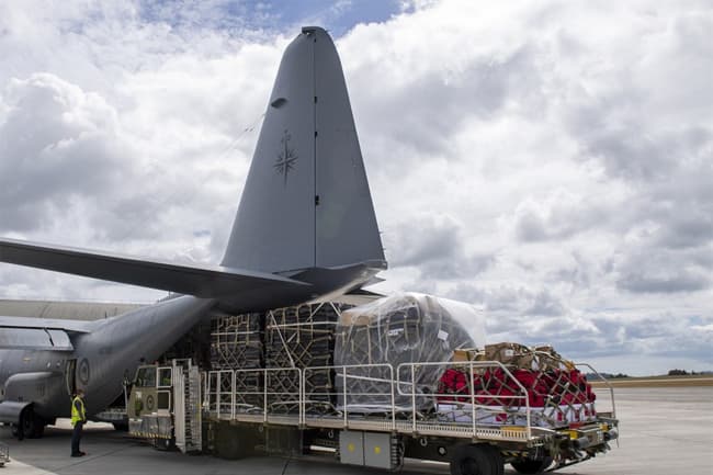 First contactless aid flights arrive in disaster-hit Tonga