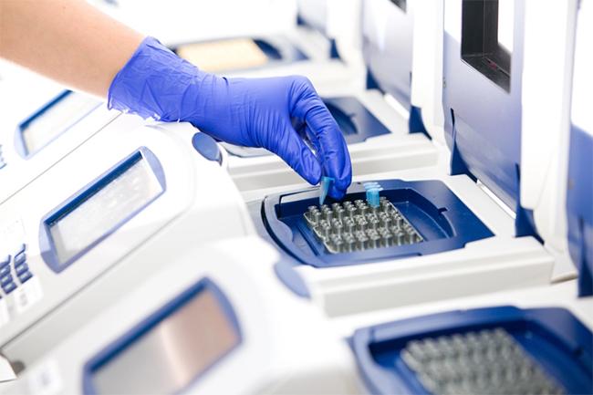 Post-mortem PCR not mandatory for all deaths