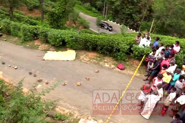 Man who hacked a schoolgirl to death with an axe surrenders