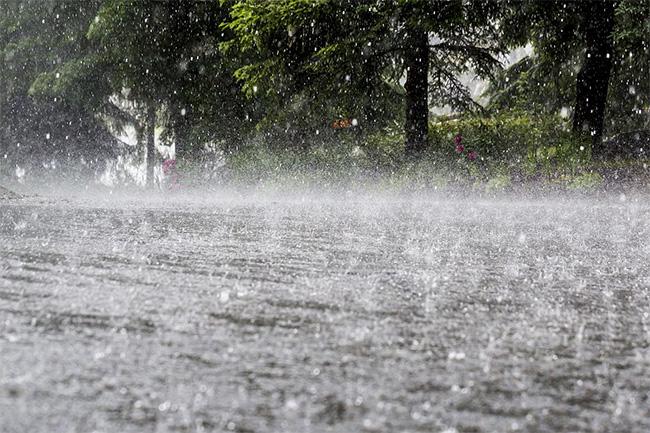 Four provinces to receive downpours of about 100 mm