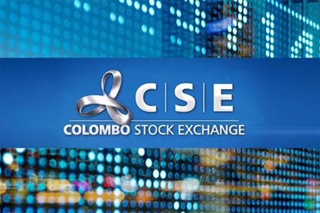 CSE temporarily halts regular trading as shares plunge