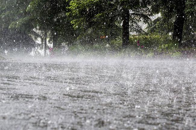 Advisory issued for heavy rain and strong winds