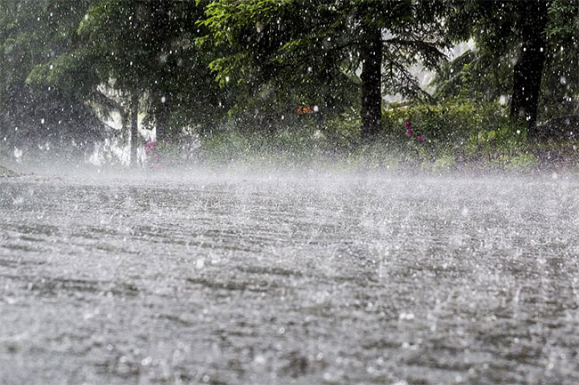 Advisory issued for heavy rain and strong winds