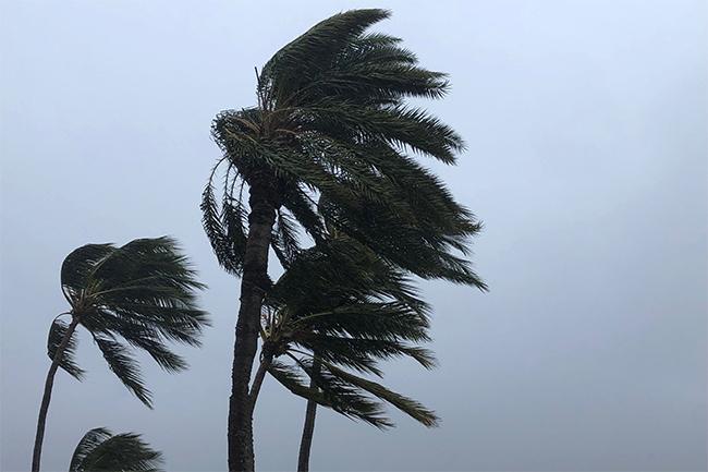 Gusty winds to continue in several sea areas