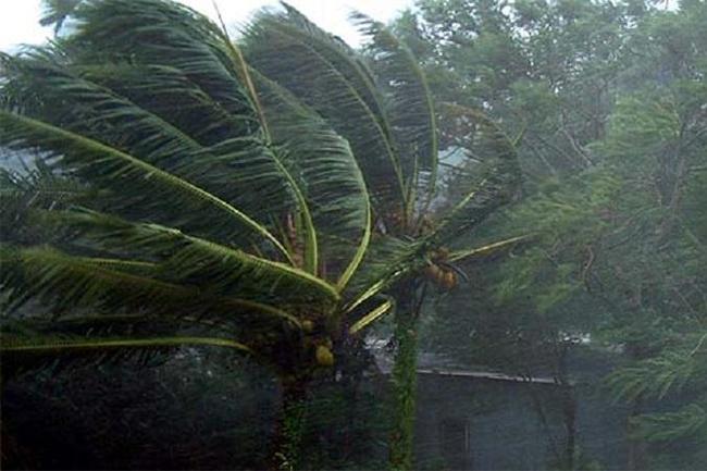 Some areas to be hit by downpours above 100mm and gusty winds