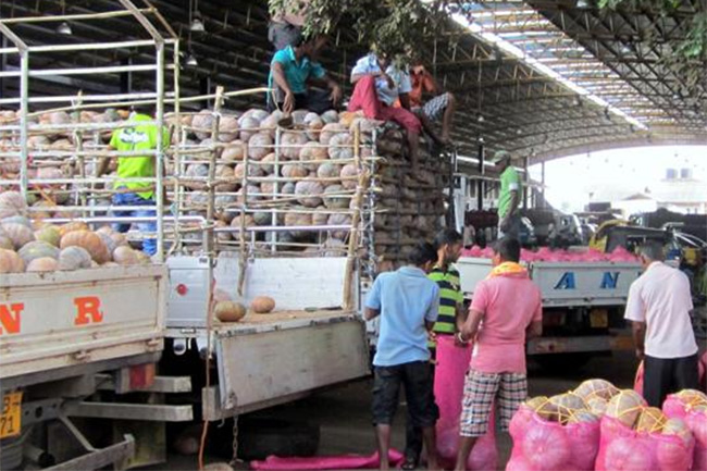 Fuel to be supplied to vehicles transporting goods to economic centres