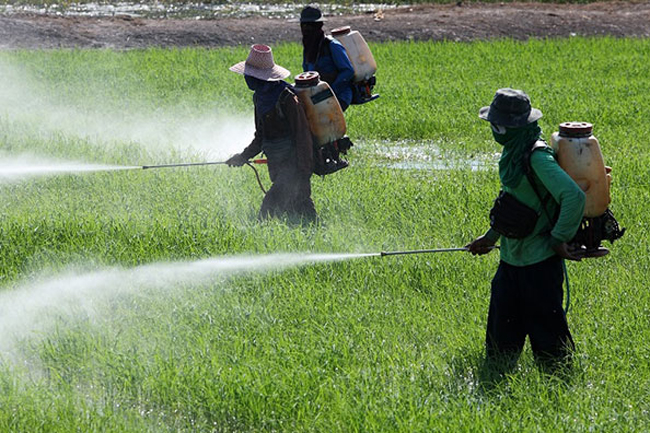 Sri Lanka lifts import ban on Glyphosate
