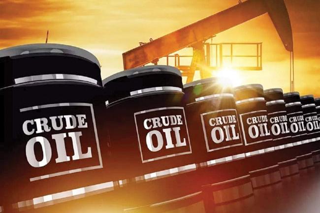 Sri Lanka expecting two crude oil cargos this month: Minister