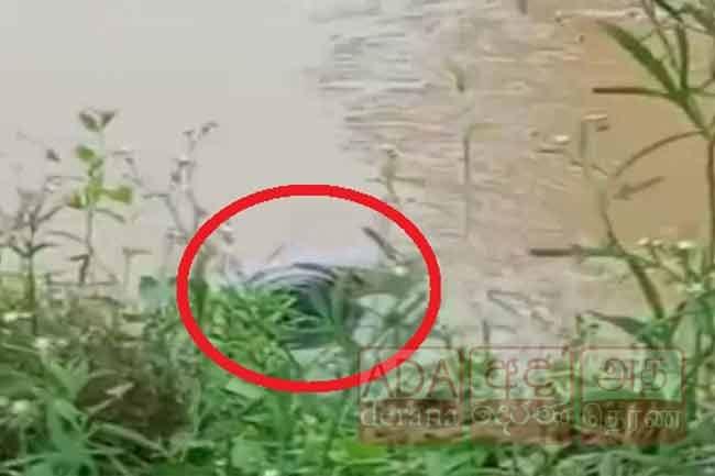 Unidentified body found in canal at Polgasowita