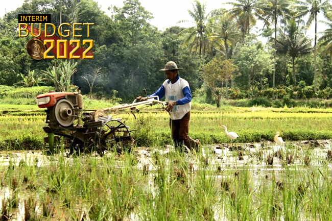 Govt to waive off small-scale paddy farmers’ loans obtained from state banks