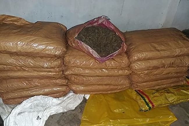 Kerala cannabis worth over Rs. 11 million seized in Kilali Lagoon