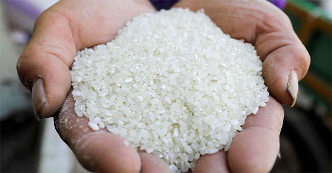 News reports of ‘poisonous rice’ completely false and misleading - Actg. Registrar of Pesticides