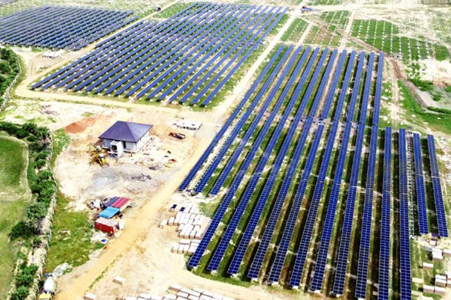 Sri Lanka’s first-ever agrivoltaic power plant declared open
