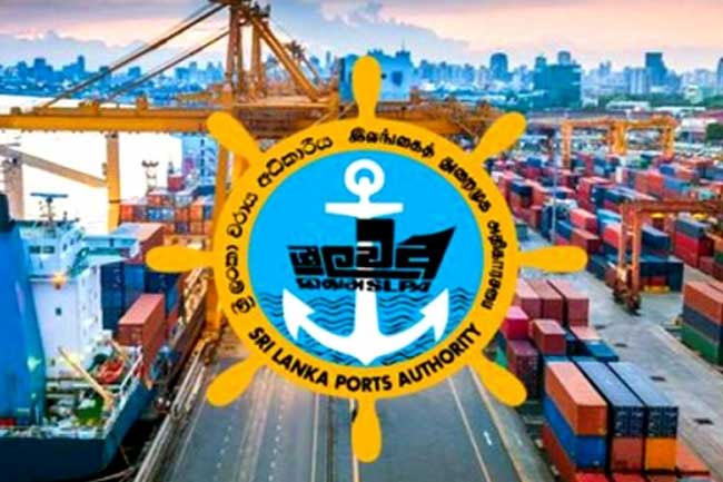 New chairman appointed to Ports Authority