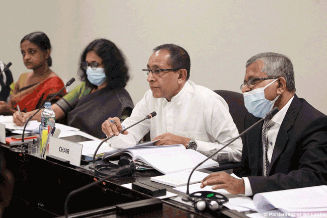 No proper regulatory system to control price of vegetable seeds in Sri Lanka - COPA