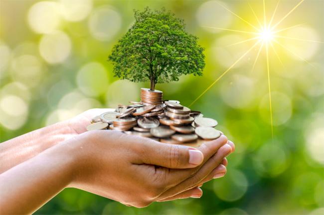 Sri Lanka in talks for USD 1 Bn “debt-for-nature” swap deal: report