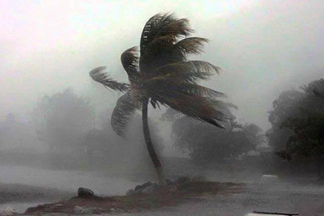Met. Dept. warns of gusty winds and rough seas