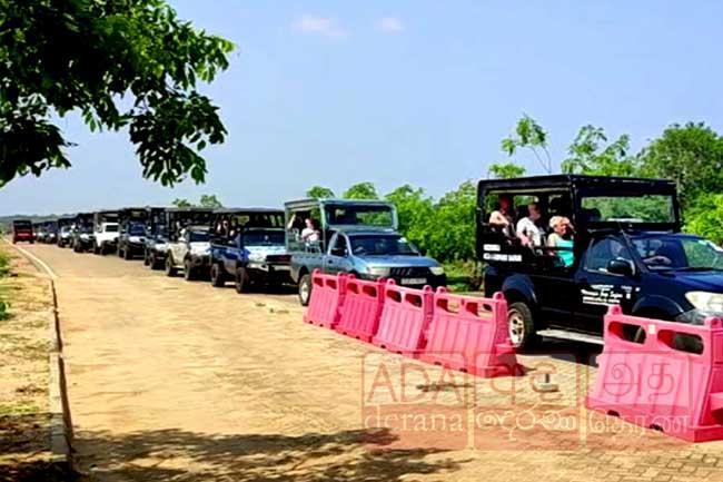 Hundreds of tourists visit Yala National Park