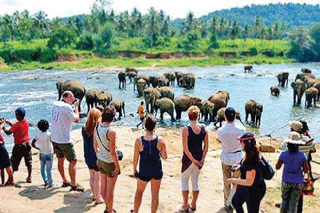 Sri Lanka’s tourism earnings surpass USD 107 mn in Nov.
