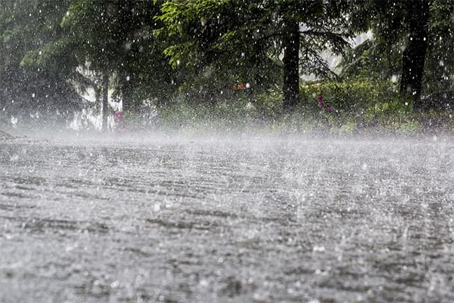 Showery condition expected to enhance from today