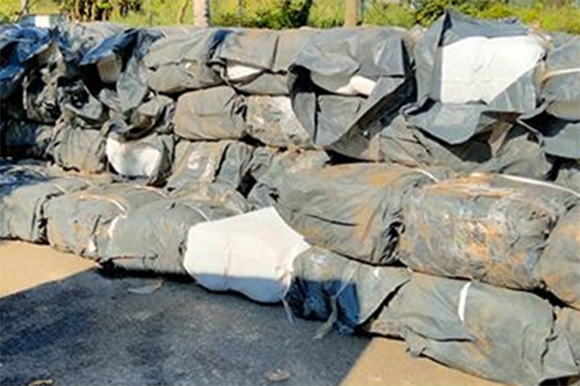Navy arrests individual with nearly 1,800kg of ‘Kendu’ leaves