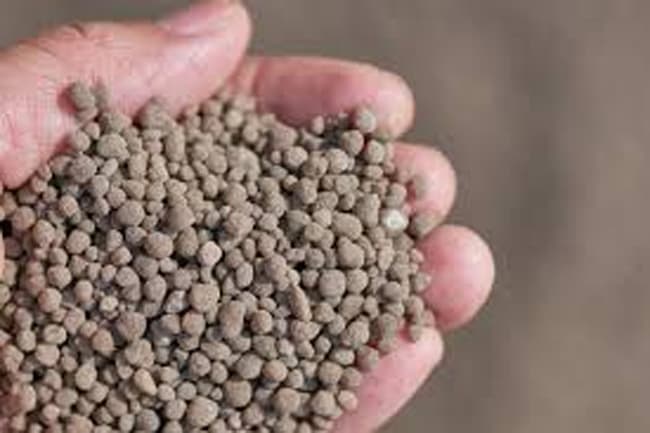 TSP fertilizer being successfully distributed island-wide – Agri. Ministry