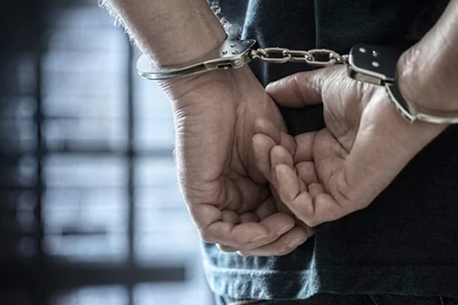 Five nabbed for trying to sell 3 elephant pearls for Rs. 12 mn