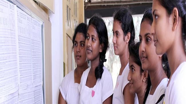 Island’s best results of 2023 (2024) O/L exam